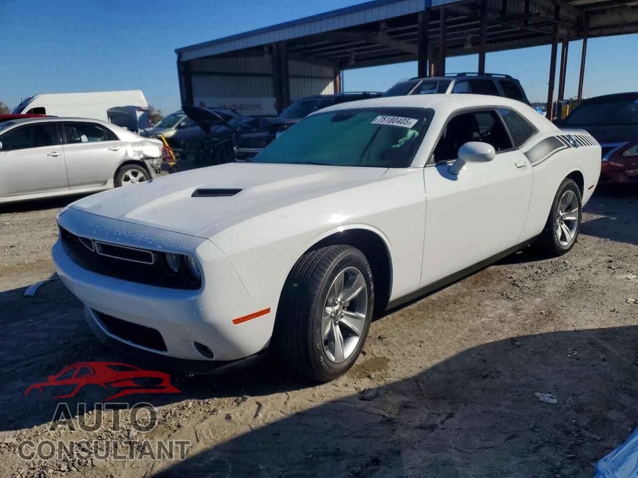 DODGE CHALLENGER 2019 - 2C3CDZAG4KH759545