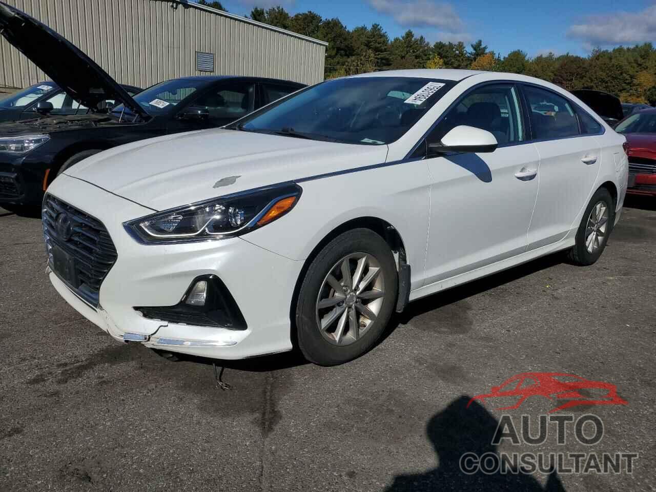 HYUNDAI SONATA 2019 - 5NPE24AF7KH805820