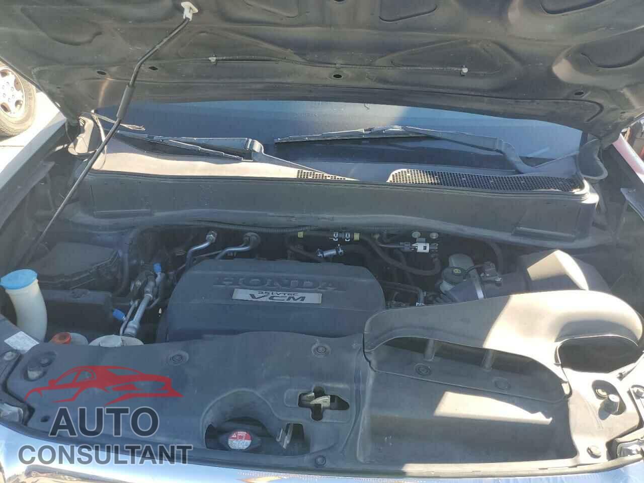 HONDA PILOT 2009 - 5FNYF38519B018976