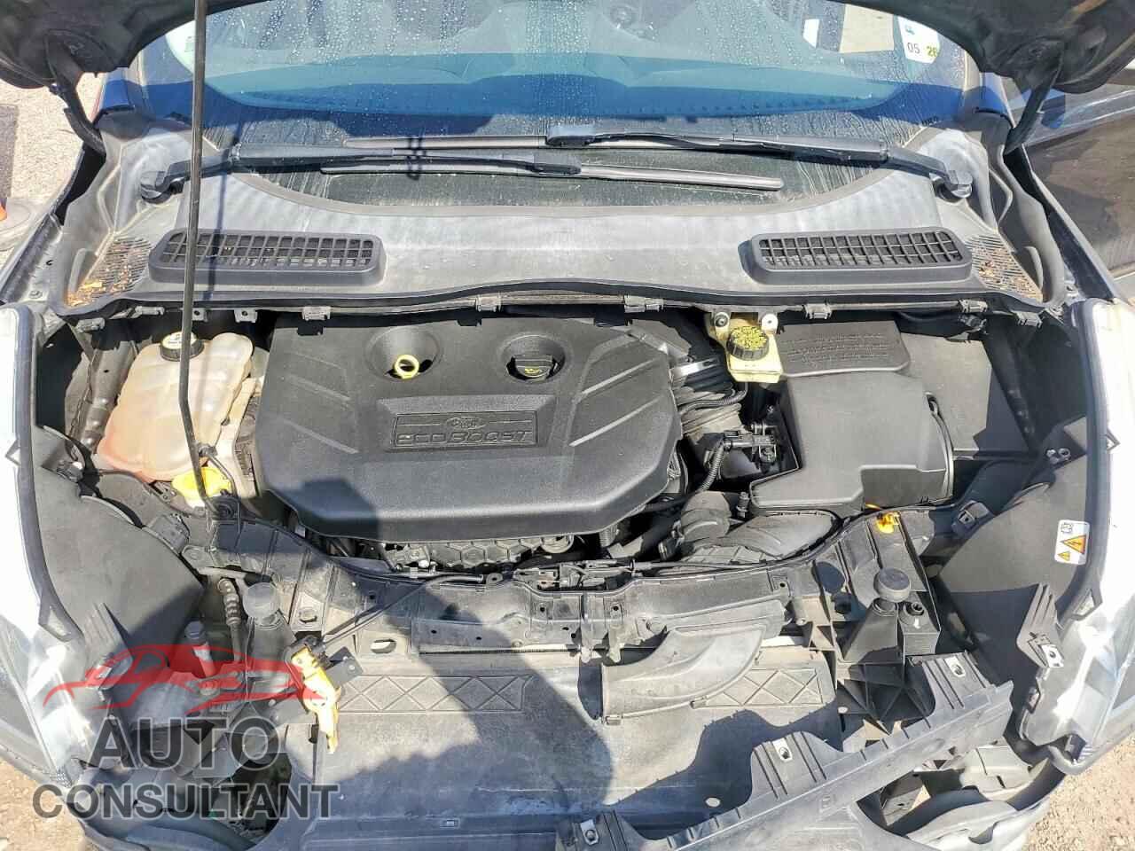 FORD ESCAPE 2013 - 1FMCU0J92DUB12890
