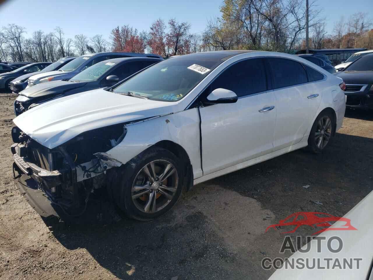 HYUNDAI SONATA 2019 - 5NPE34AF6KH736471