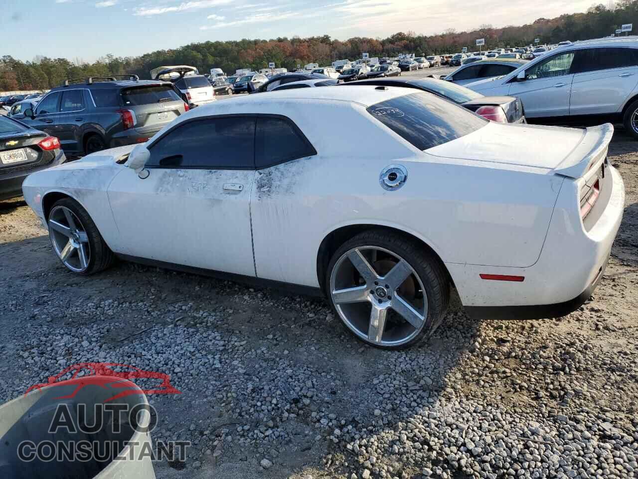 DODGE CHALLENGER 2019 - 2C3CDZAG5KH672558