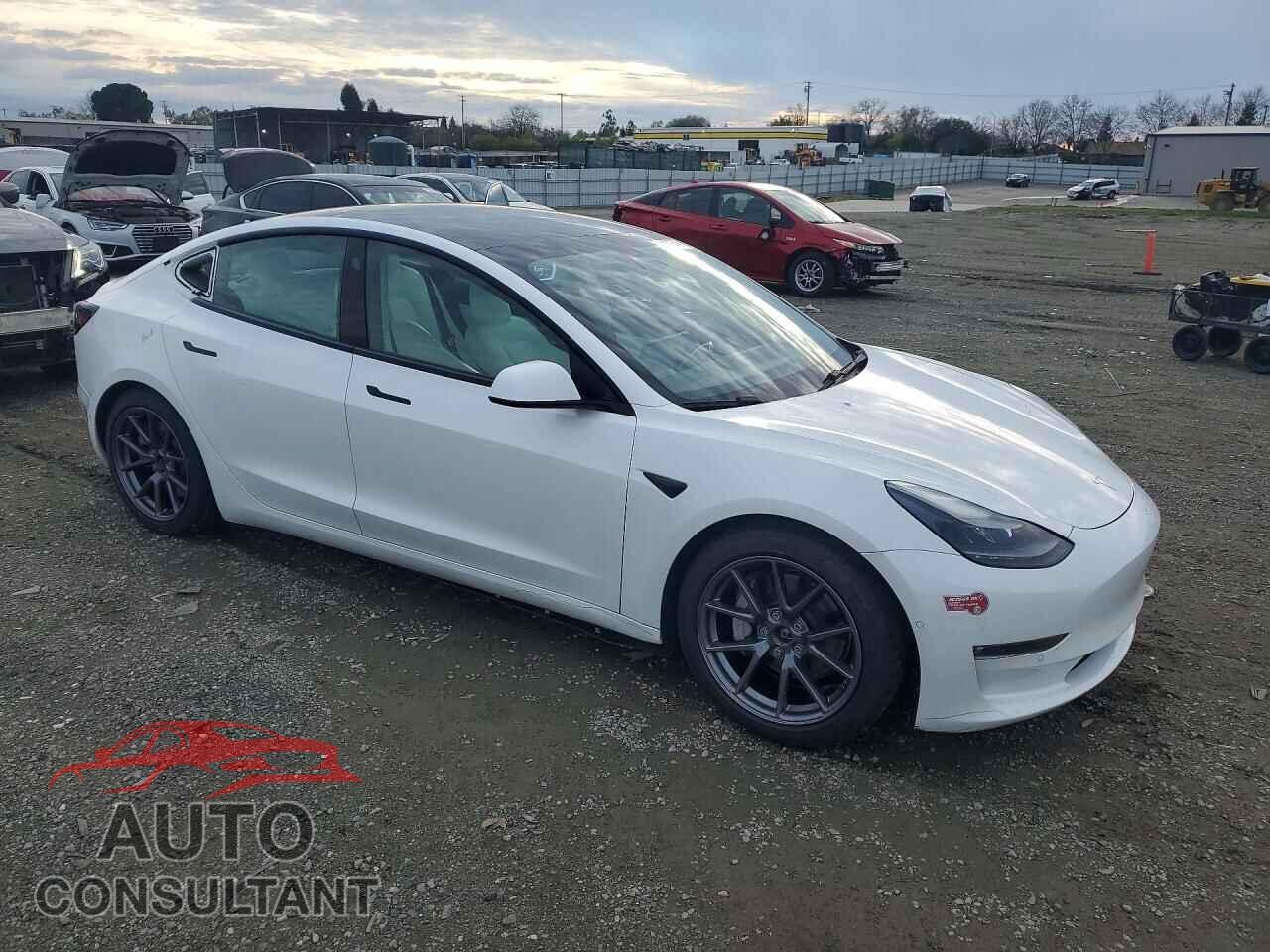 TESLA MODEL 3 2021 - 5YJ3E1EB8MF876160