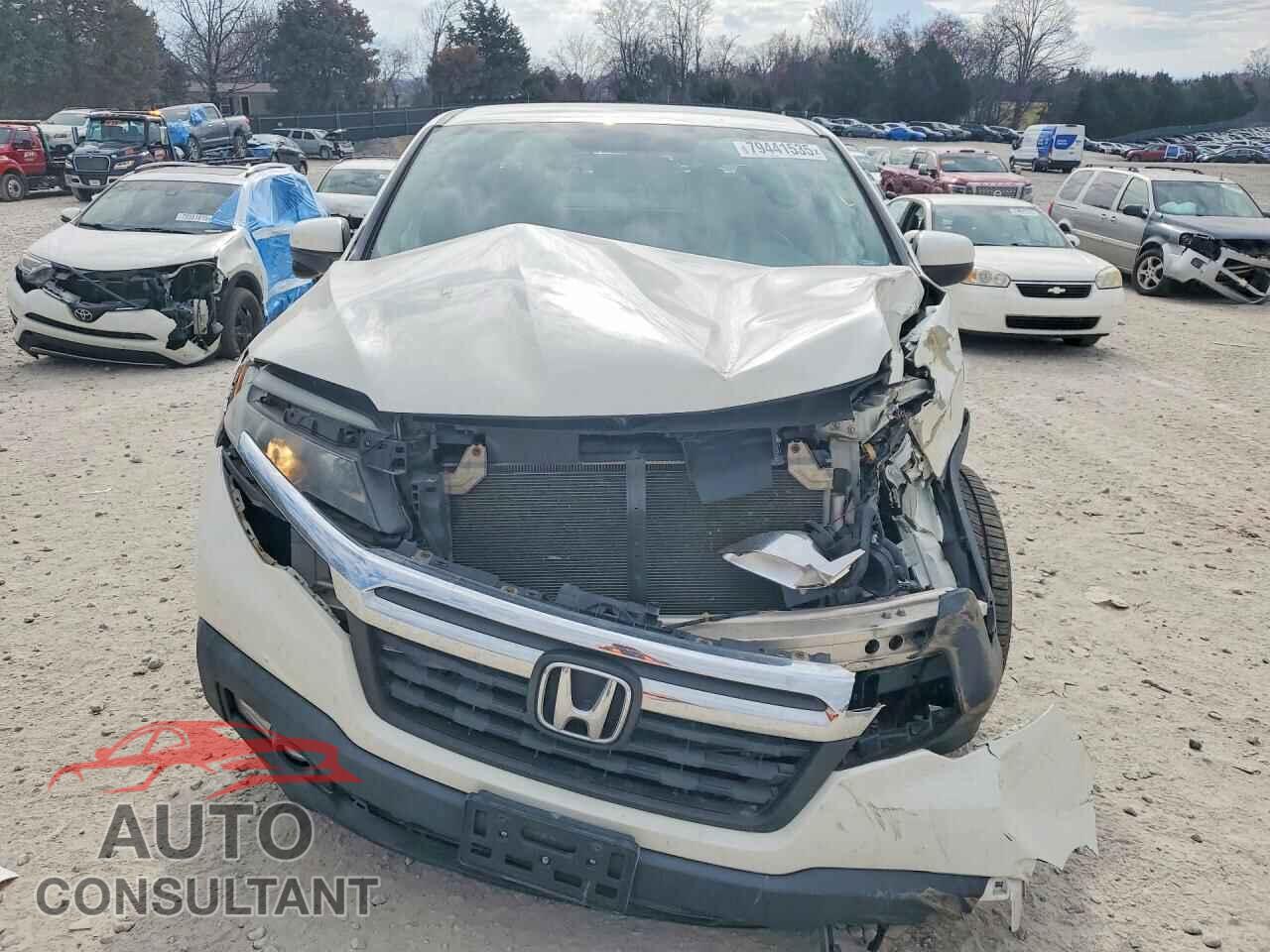 HONDA RIDGELINE 2017 - 5FPYK3F63HB034500