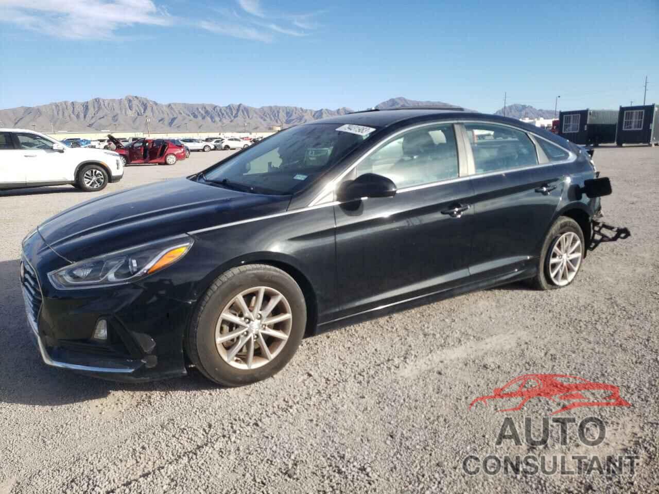 HYUNDAI SONATA 2019 - 5NPE24AF8KH774013