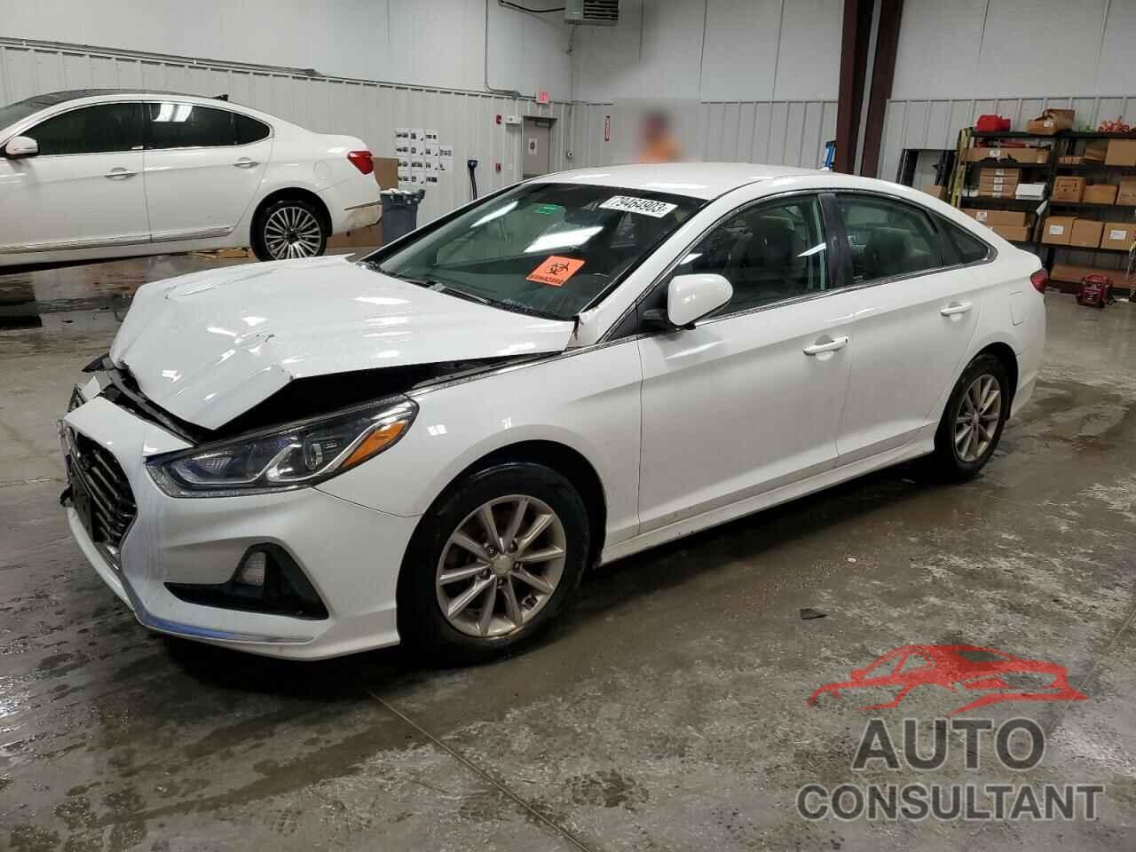 HYUNDAI SONATA 2019 - 5NPE24AF5KH751661