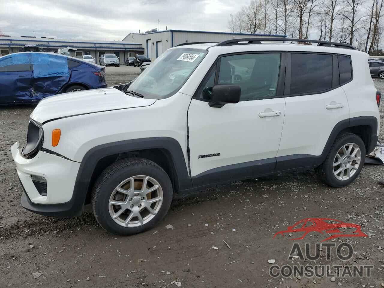 JEEP RENEGADE 2019 - ZACNJBA1XKPK05535