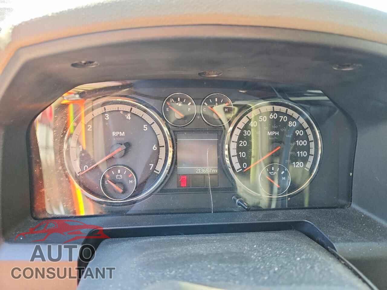 DODGE RAM 1500 2010 - 1D7RB1GP8AS160049