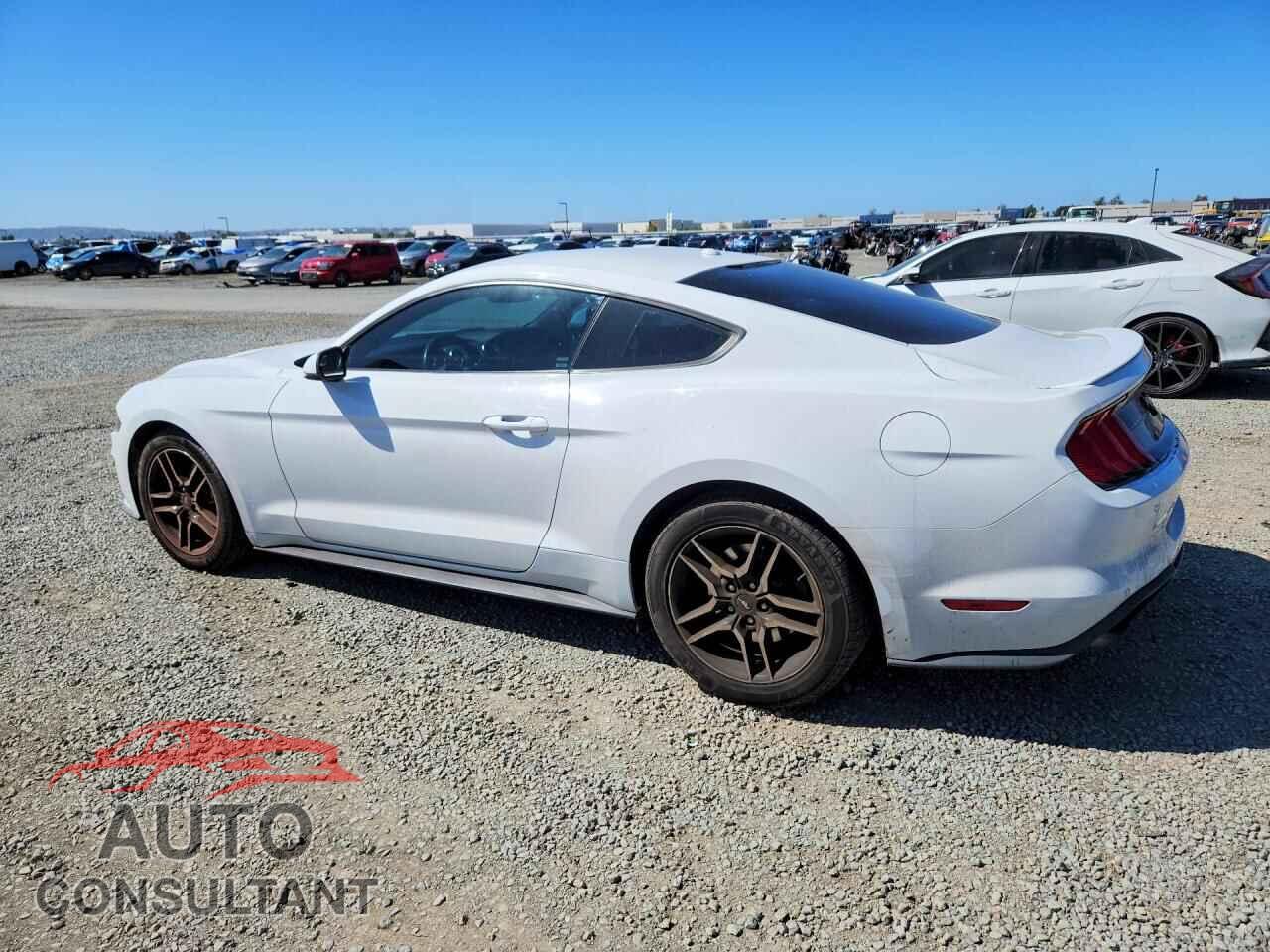 FORD MUSTANG 2019 - 1FA6P8TH4K5172534