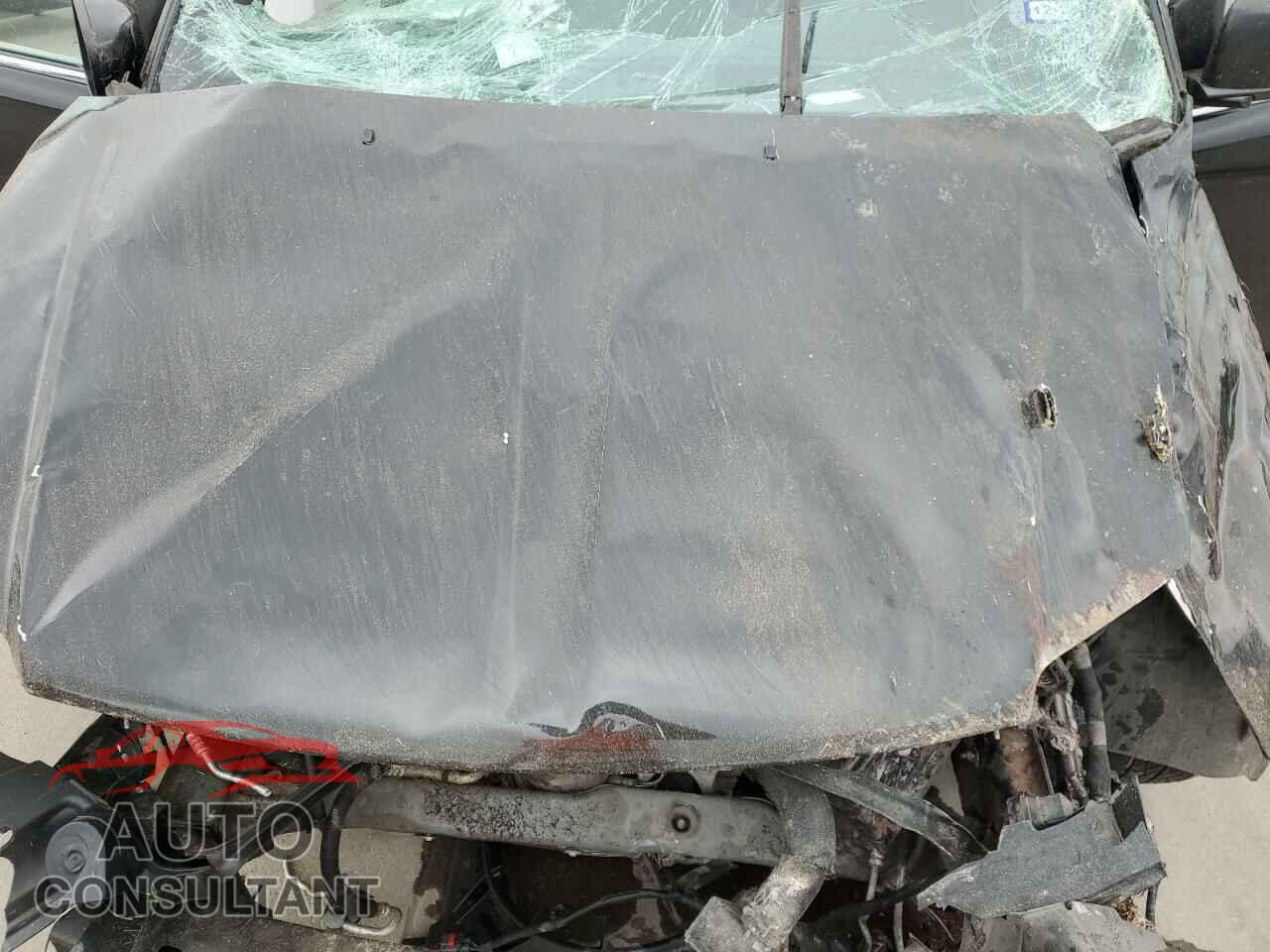 DODGE CARAVAN 2019 - 2C4RDGCG8KR758626
