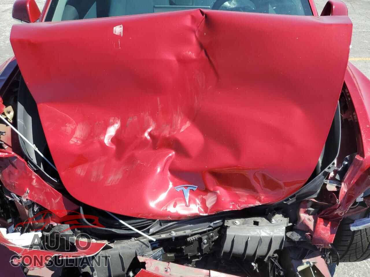 TESLA MODEL 3 2019 - 5YJ3E1EA2KF402760