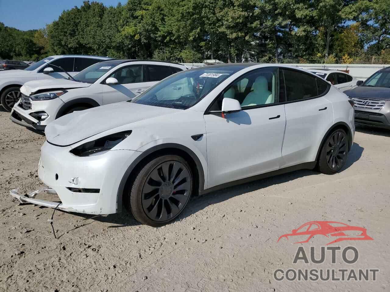 TESLA MODEL Y 2024 - 7SAYGDEF4RA266087