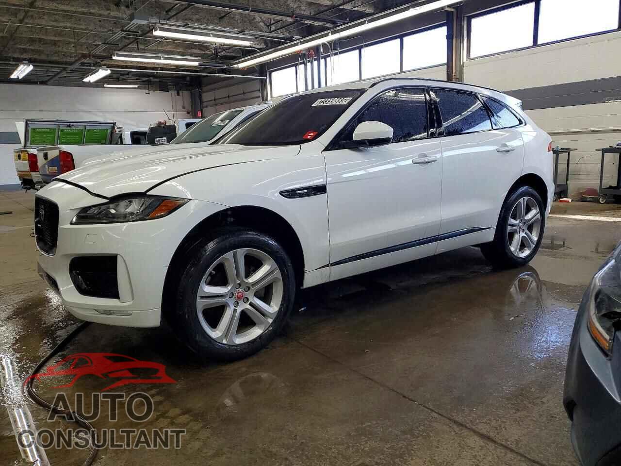 JAGUAR F-PACE 2019 - SADCL2FX1KA366524