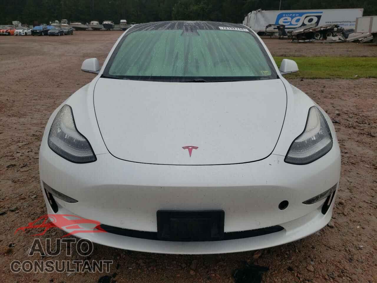 TESLA MODEL 3 2019 - 5YJ3E1EA3KF444760