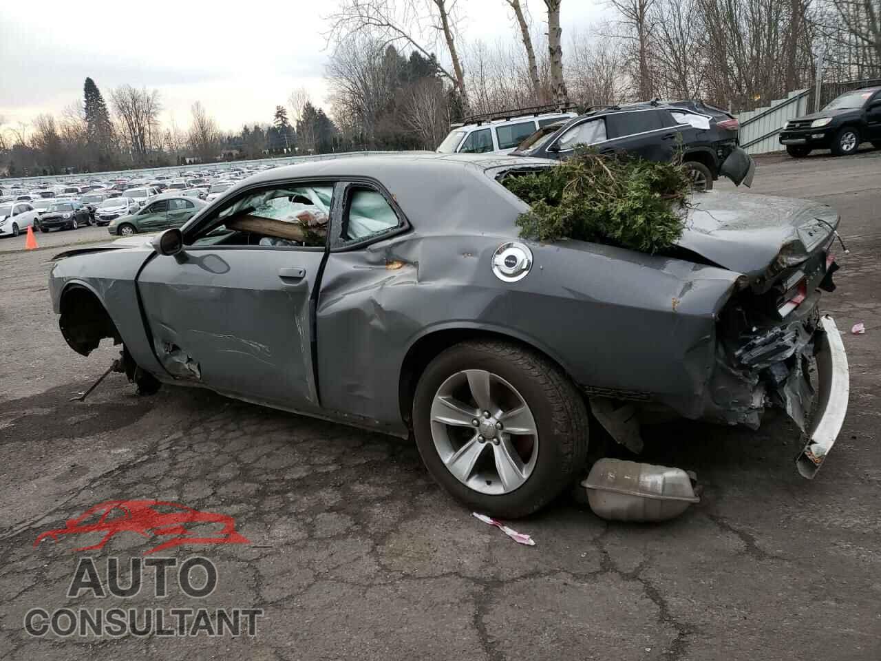DODGE CHALLENGER 2019 - 2C3CDZAG3KH723555