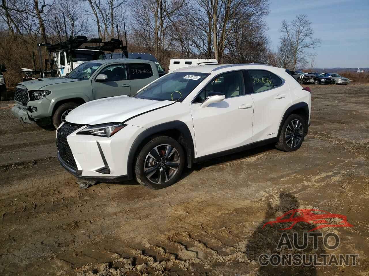 LEXUS UX 250H 2020 - JTHX9JBH1L2036185