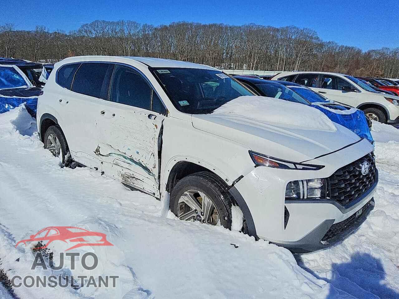 HYUNDAI SANTA FE 2023 - 5NMS14AJ7PH522803
