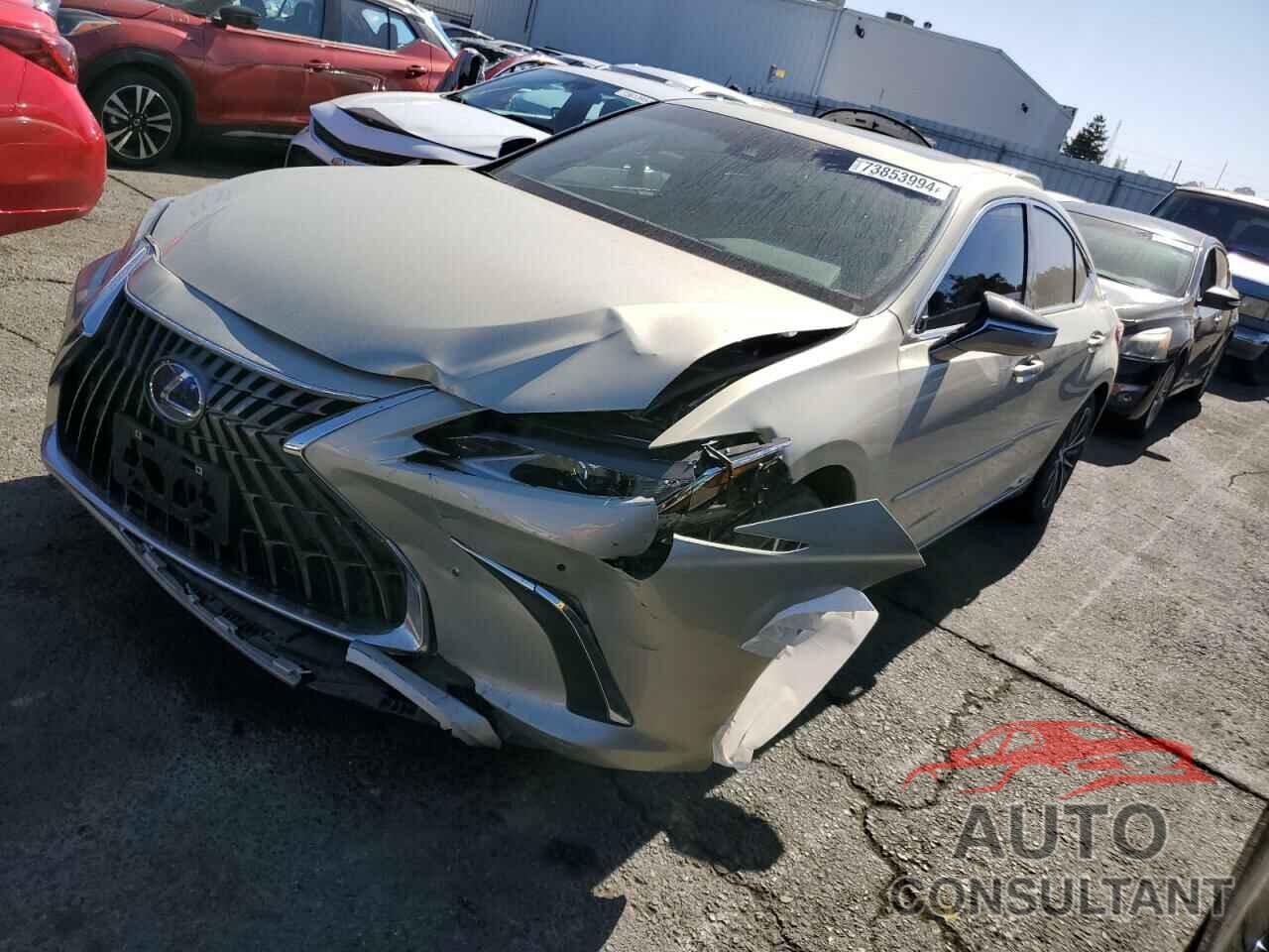 LEXUS ES300 2022 - 58ADA1C18NU024950