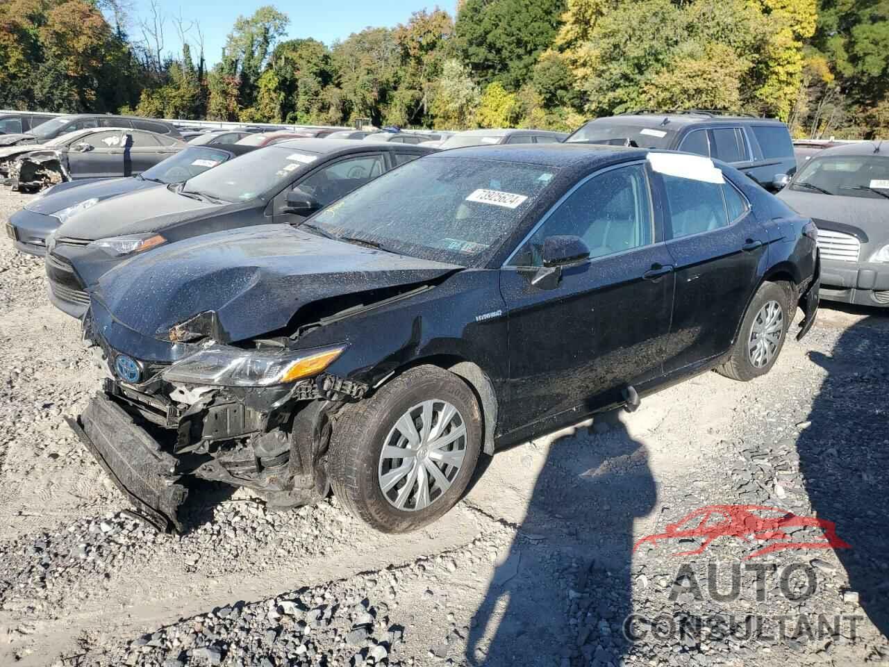 TOYOTA CAMRY 2021 - 4T1C31AK9MU566999