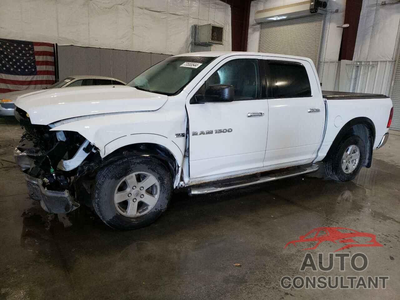 DODGE All Models 2011 - 1D7RV1CT2BS558496