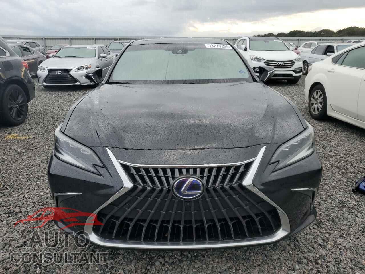 LEXUS ES300 2022 - 58AFA1C19NU014159