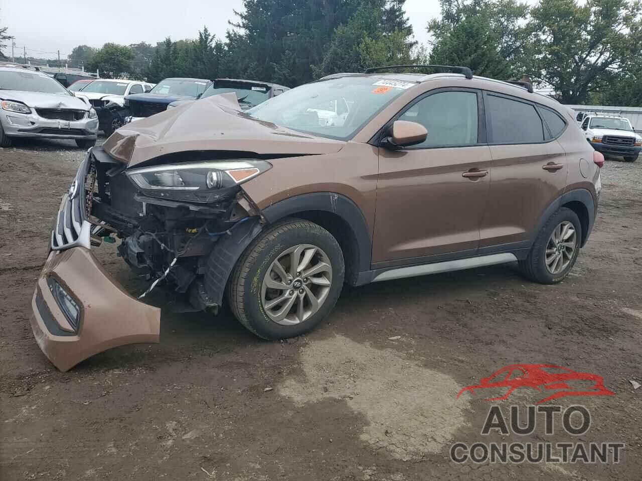 HYUNDAI TUCSON 2017 - KM8J33A43HU521535