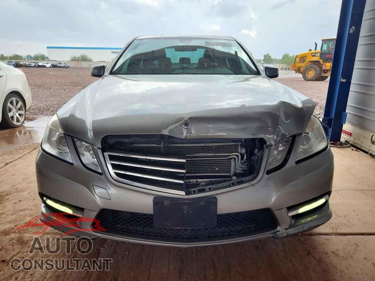 MERCEDES-BENZ E-CLASS 2013 - WDDHF2EB9DA742796