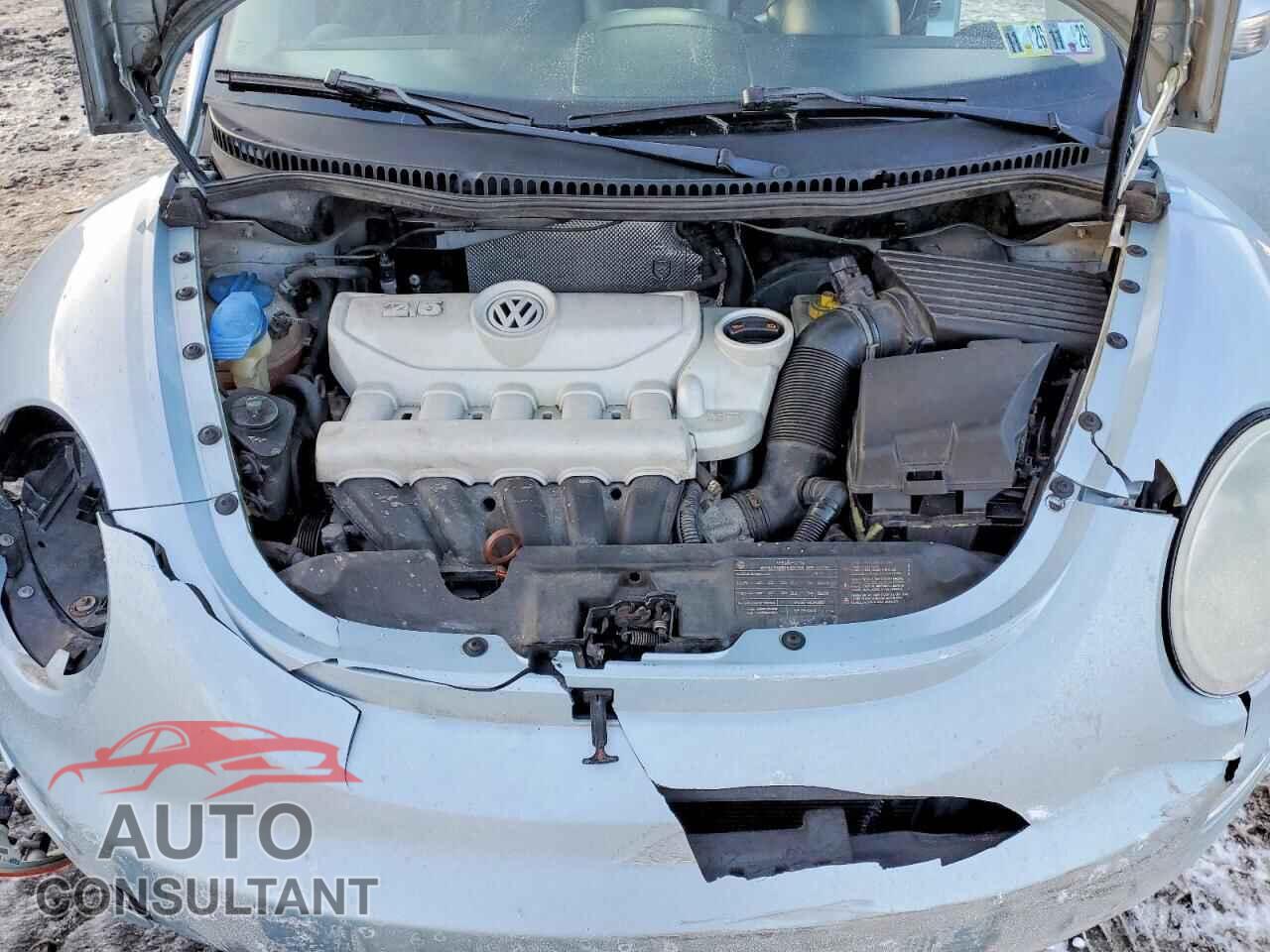 VOLKSWAGEN BEETLE 2010 - 3VWRG3AG0AM024097