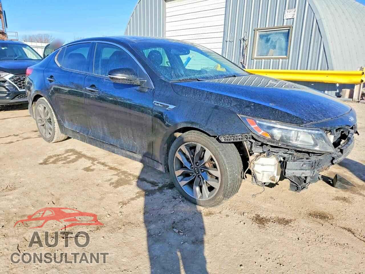 KIA OPTIMA 2014 - 5XXGR4A66EG295951