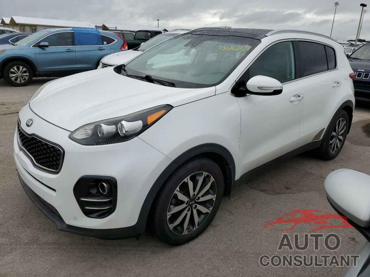 KIA SPORTAGE 2017 - KNDPN3AC6H7164365