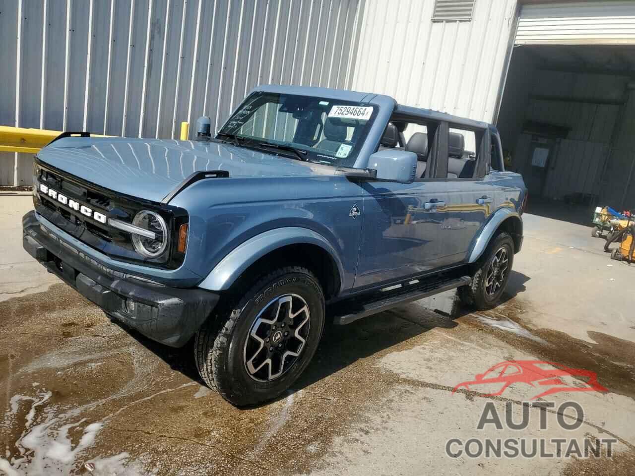 FORD BRONCO OUT 2024 - 1FMDE8BH9RLA22414