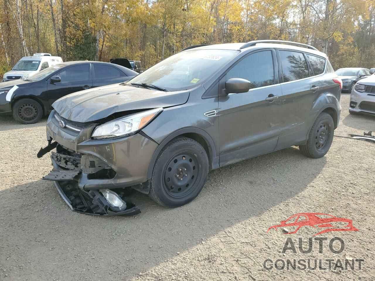 FORD ESCAPE 2016 - 1FMCU9GX7GUC63903