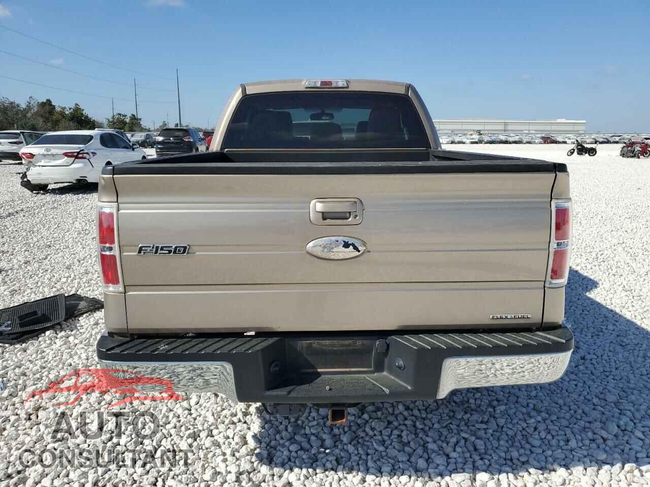 FORD F-150 2012 - 1FTFX1CF2CKD04810