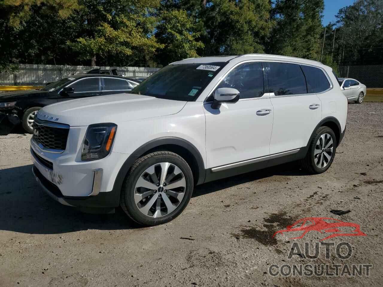 KIA TELLURIDE 2022 - 5XYP6DHC4NG271289