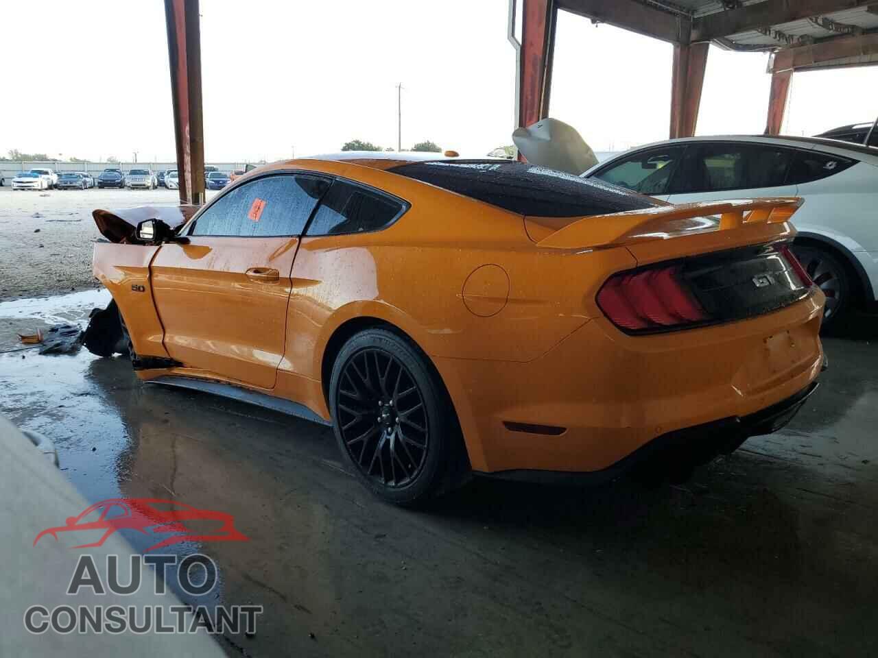 FORD MUSTANG 2019 - 1FA6P8CF3K5167355