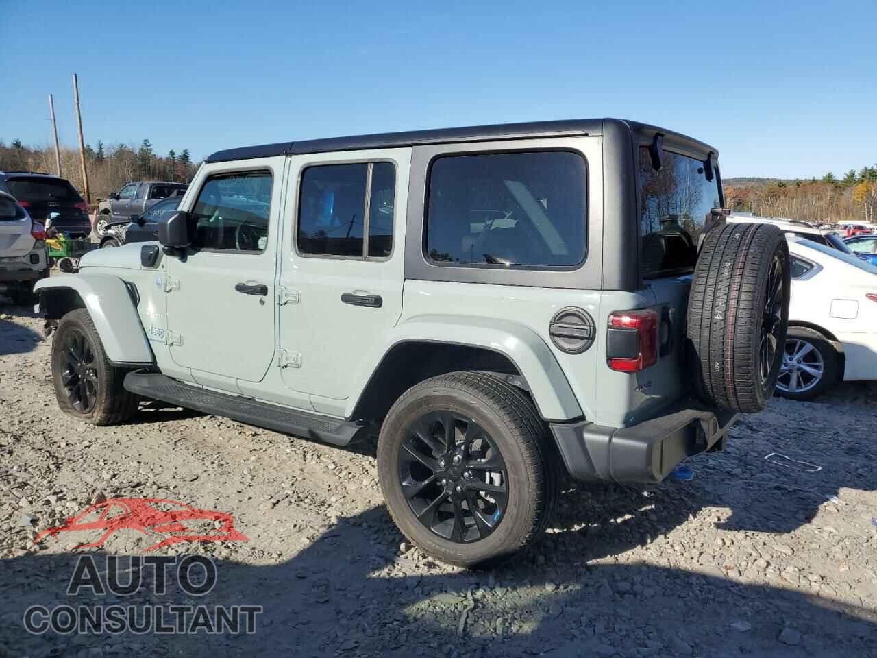 JEEP WRANGLER 2023 - 1C4JJXP6XPW685605