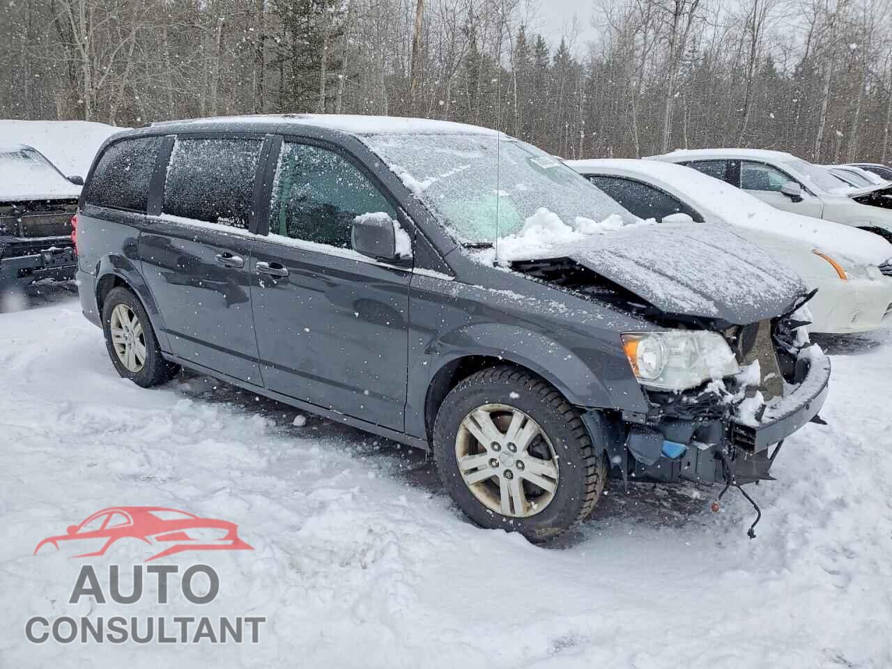 DODGE CARAVAN 2019 - 2C4RDGDG7KR779580