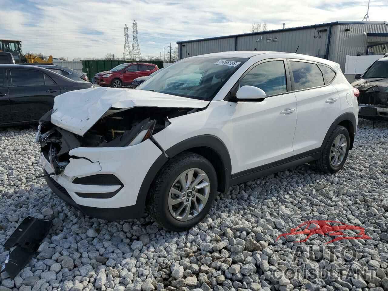 HYUNDAI TUCSON 2017 - KM8J23A48HU331443