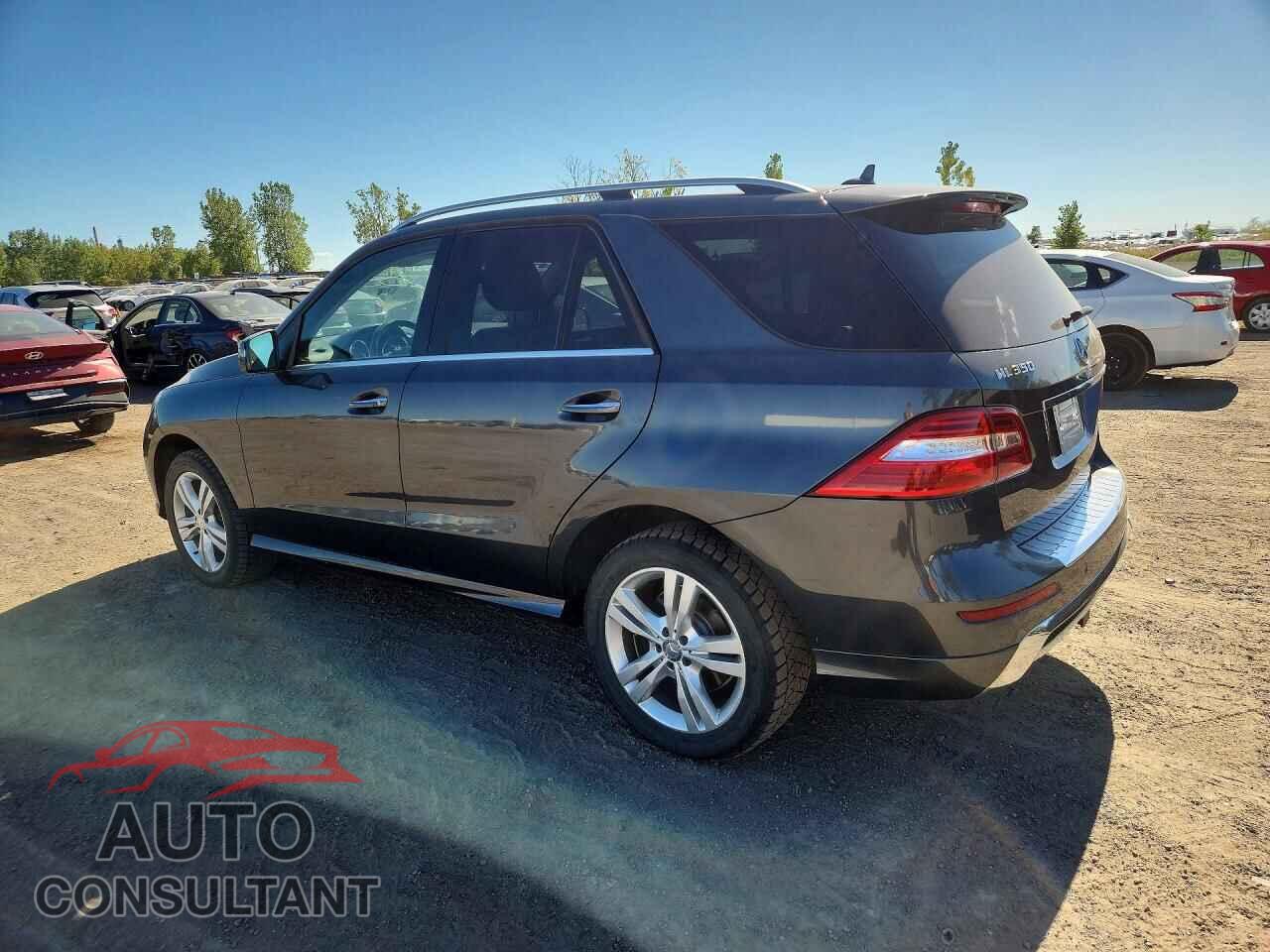 MERCEDES-BENZ M-CLASS 2014 - 4JGDA2EB1EA434476