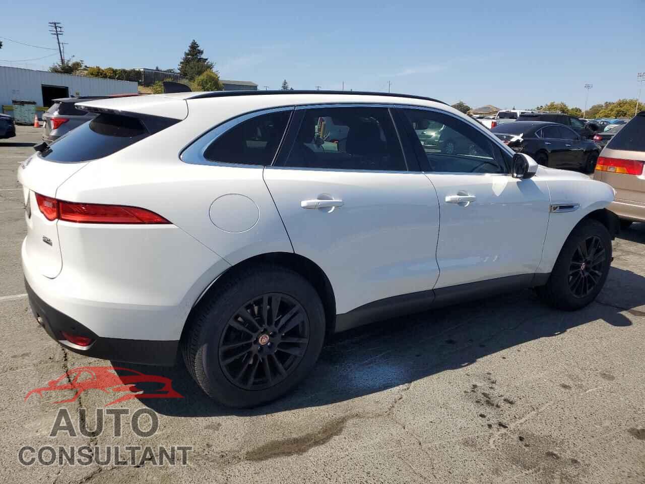 JAGUAR F-PACE 2020 - SADCK2FX7LA625702
