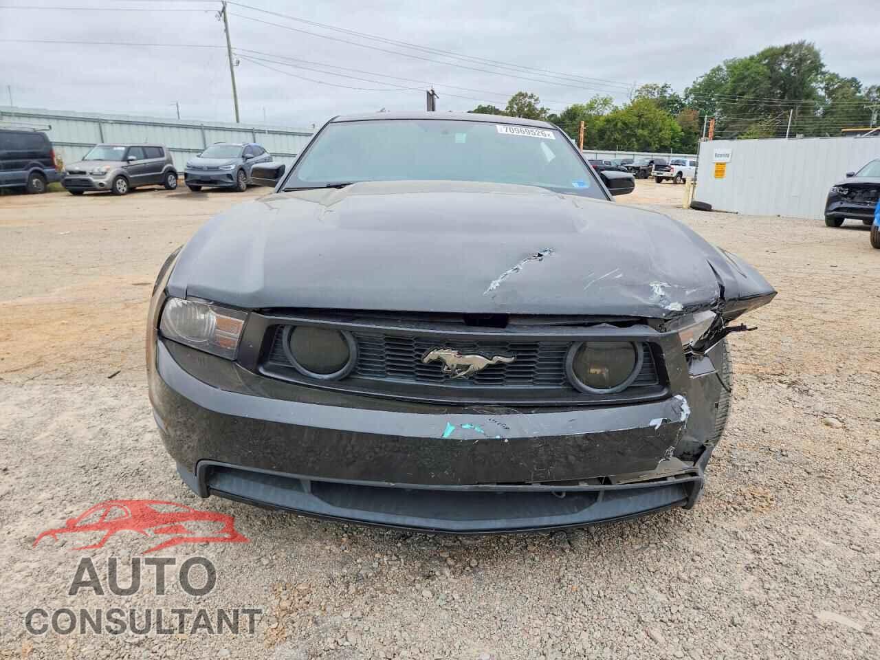 FORD MUSTANG 2012 - 1ZVBP8CF1C5202241