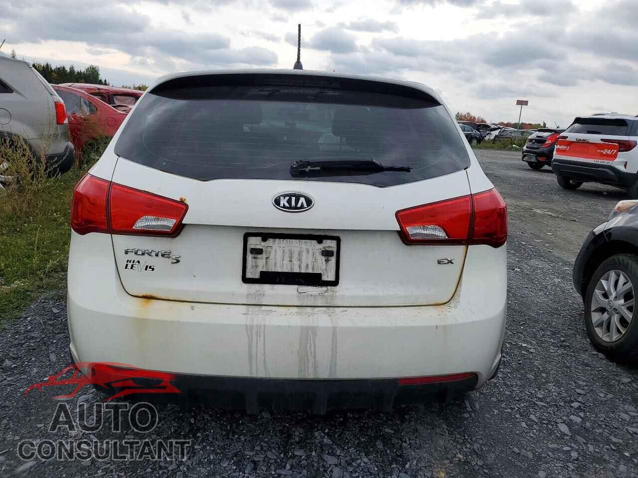 KIA FORTE 2012 - KNAFU5A29C5558252
