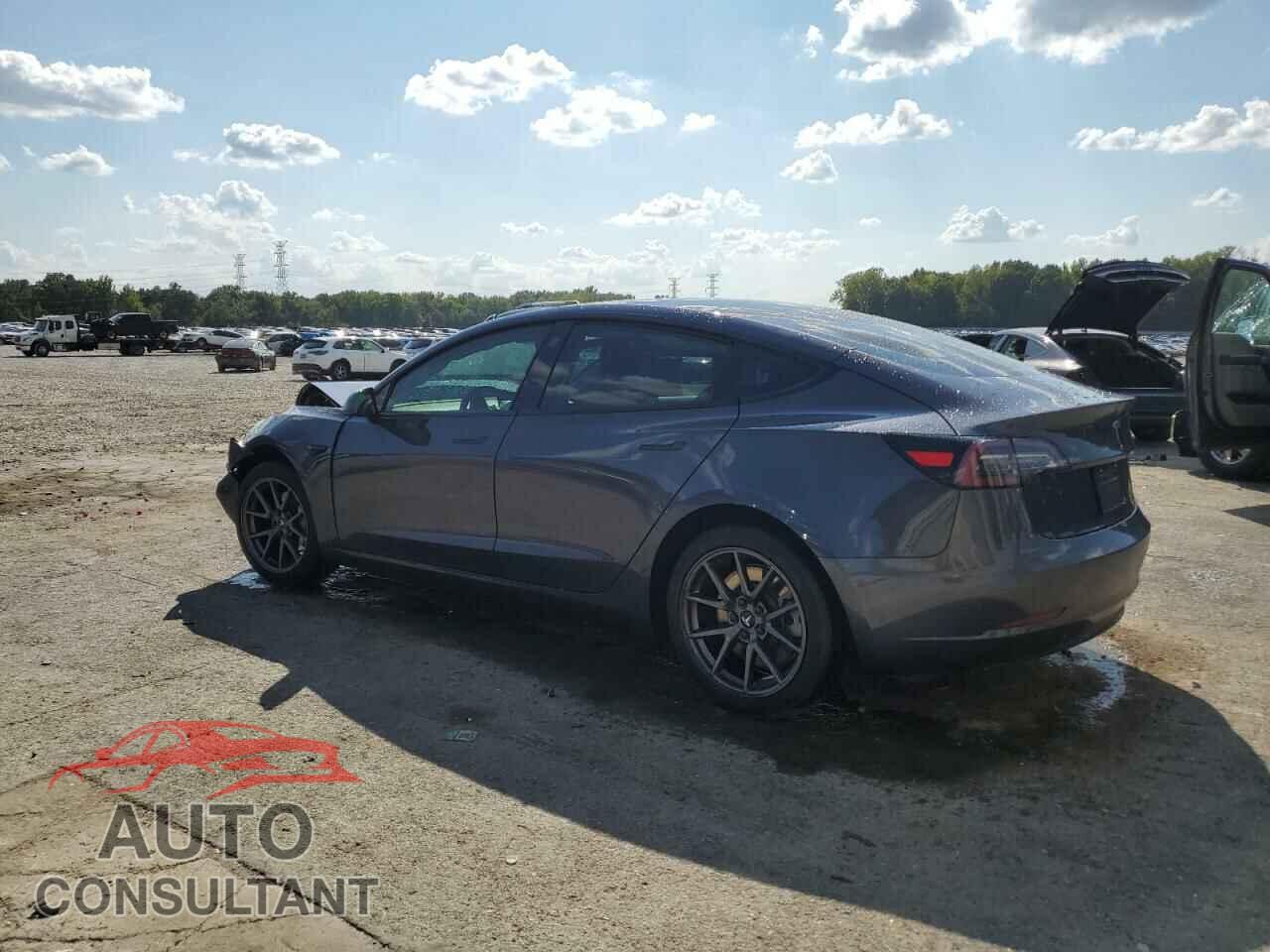 TESLA MODEL 3 2021 - 5YJ3E1EA9MF976419