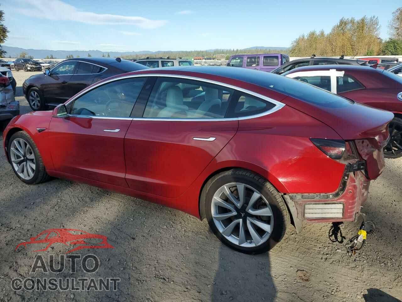 TESLA MODEL 3 2019 - 5YJ3E1EB1KF391906