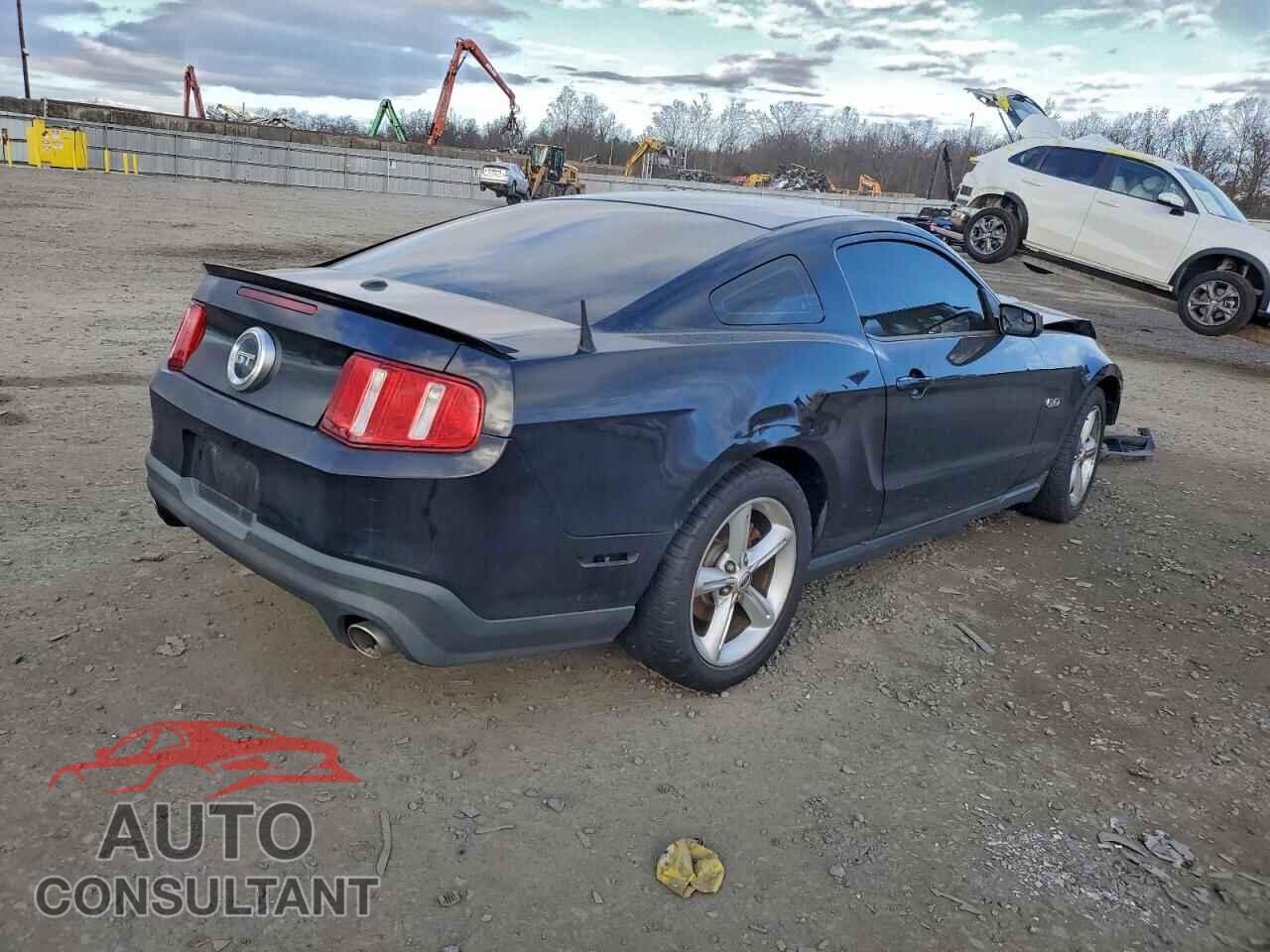 FORD MUSTANG 2011 - 1ZVBP8CF4B5155267