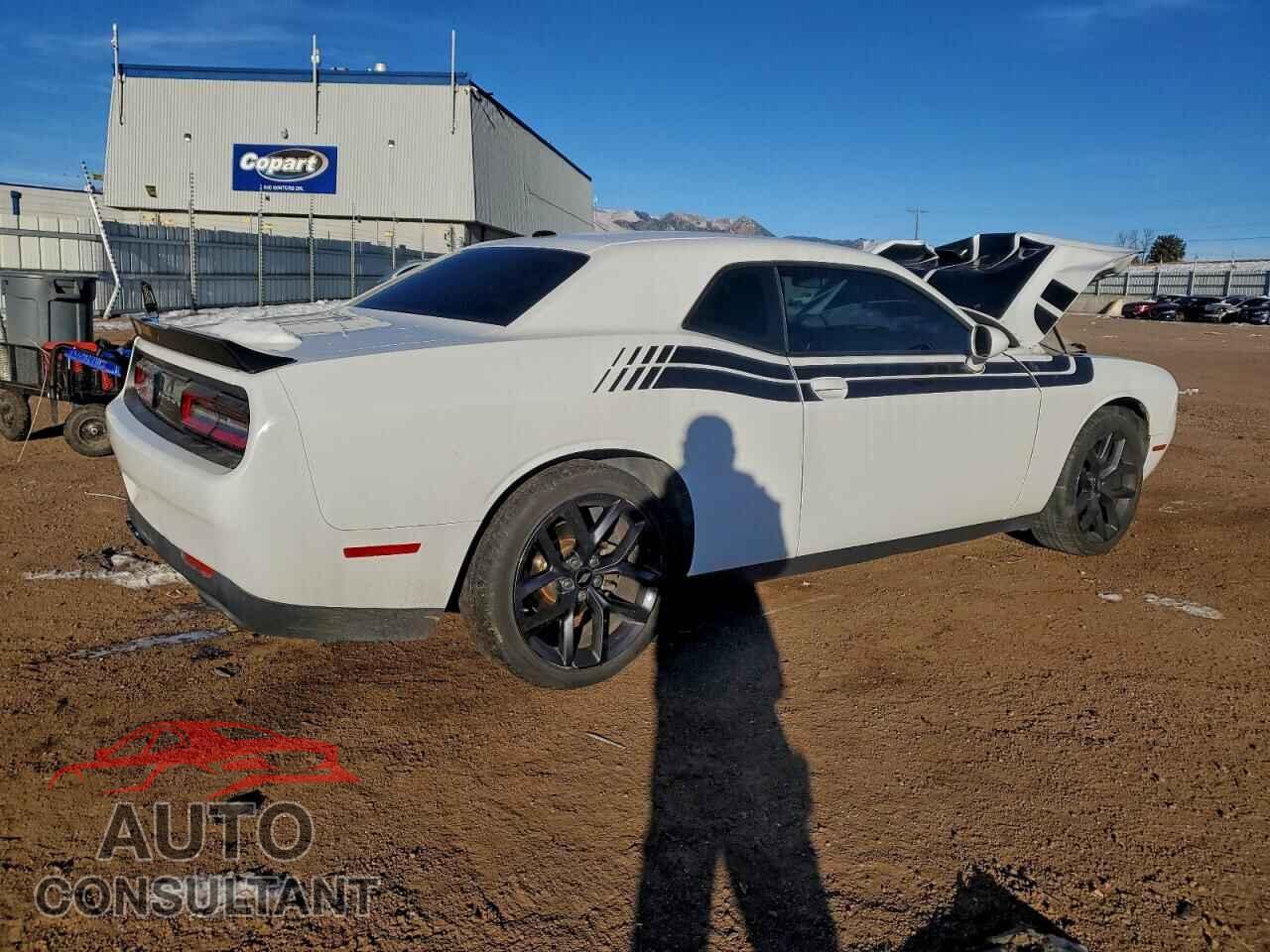 DODGE CHALLENGER 2019 - 2C3CDZAG3KH501274