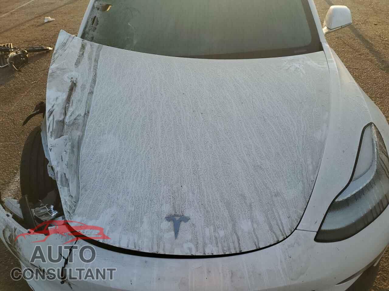 TESLA MODEL 3 2020 - 5YJ3E1EAXLF745169