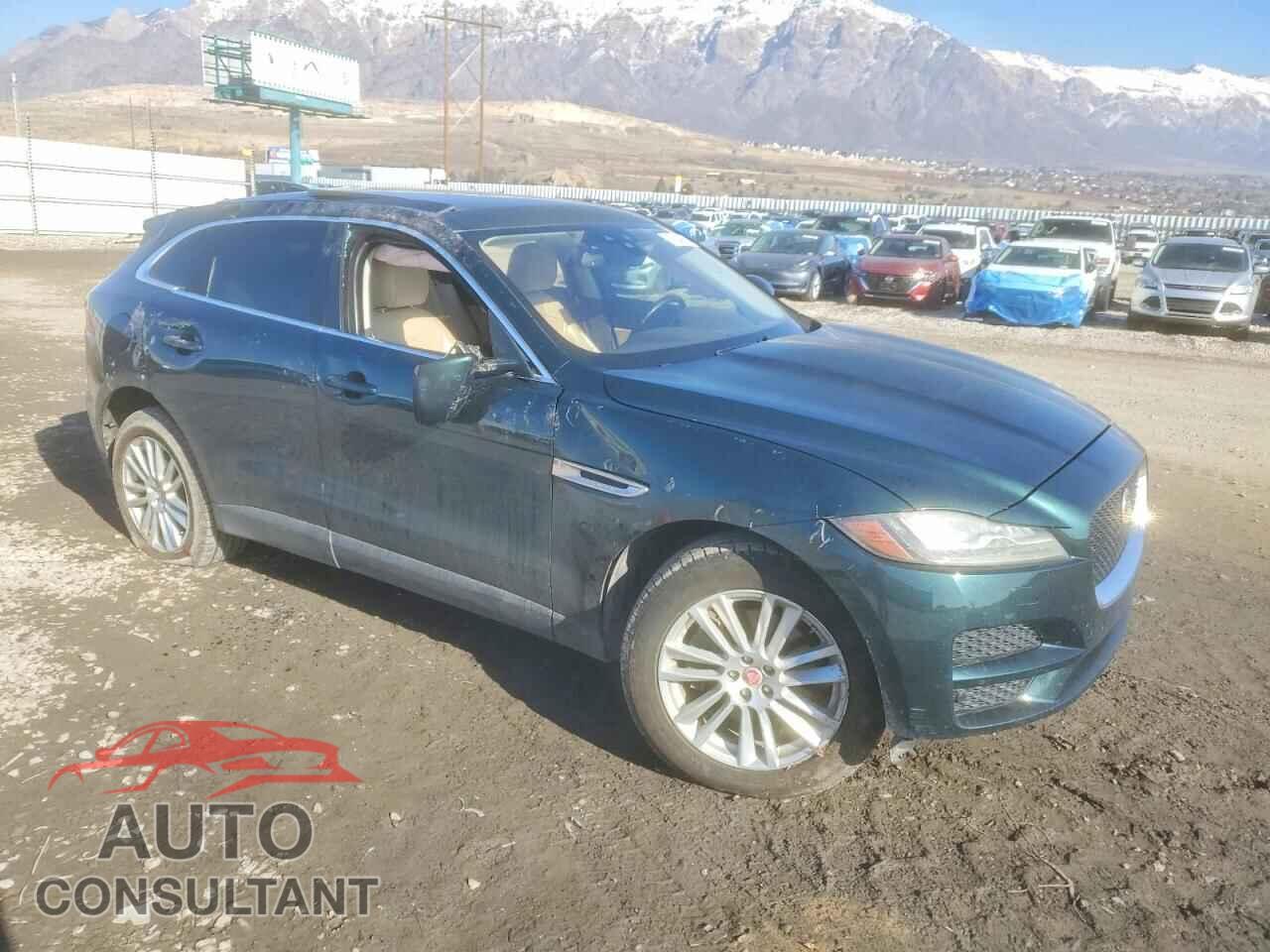 JAGUAR F-PACE 2017 - SADCK2BV8HA058394