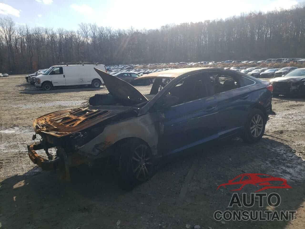 HYUNDAI SONATA 2017 - 5NPE24AF3HH491883