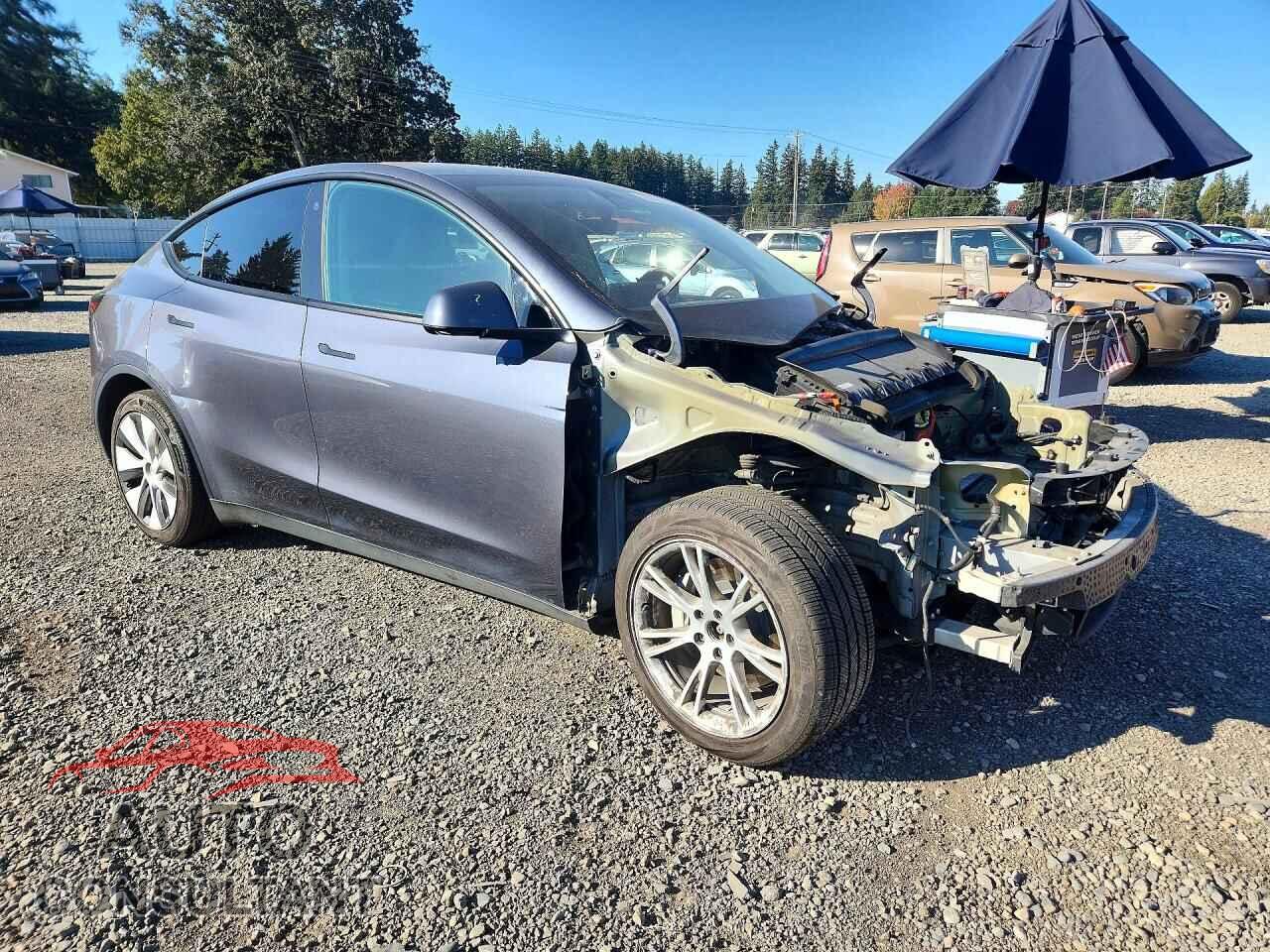TESLA MODEL Y 2023 - 7SAYGAEE8PF687431